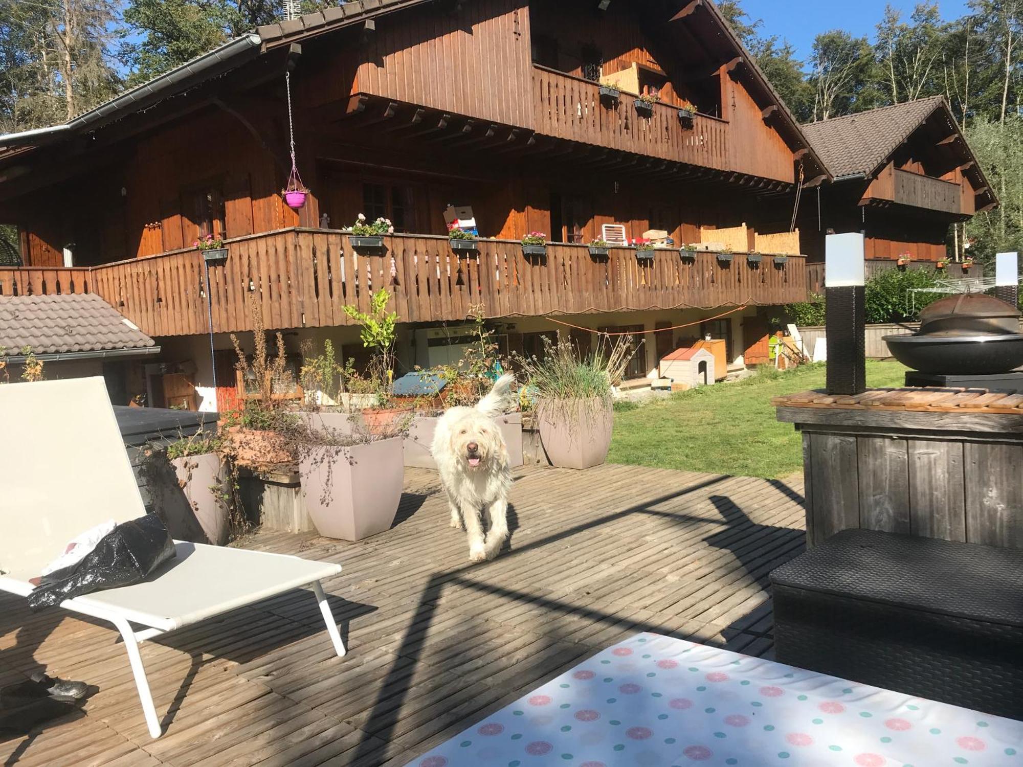 Chalet Esprit モリヨン エクステリア 写真